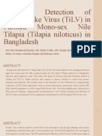 Molecular Detection of Tilapia Lake Virus