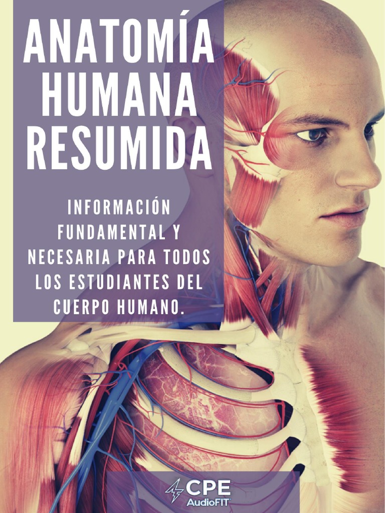 Anatomía Humana Resumida Cpe | PDF | Articulación | Hueso