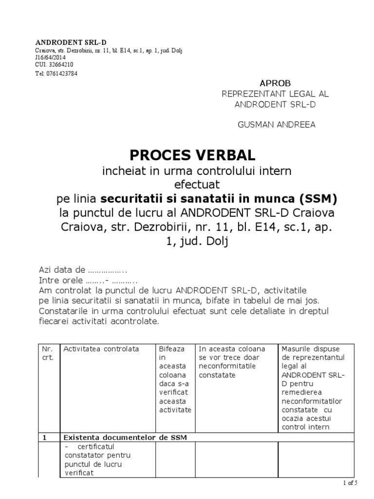31-Cod 02065-5-Formular Tip PT Control Intern SSM Cu Puncte de Control ...
