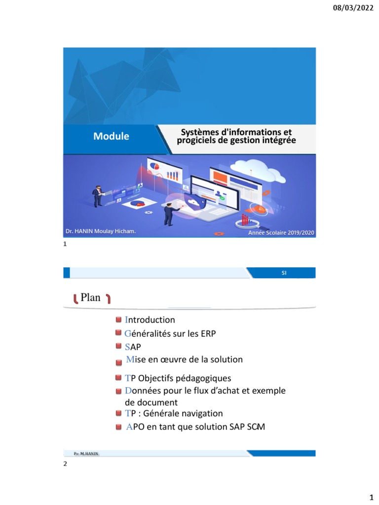 SAP ERP et Gestion de la Supply Chain | PDF | Progiciel de gestion ...