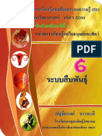 ชุดการเรียนรู้แบบสืบเสาะหาความรู้ (5E) ชุดที่่6ระบบสืบพันธุ์