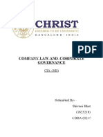 Company Law CIA 3