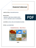 PRACTICA PARASITOLOGIA HAROLD DANIEL APAZA SOLANO