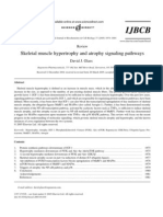 Skeletal Muscle Hypertrophy and Atrophy Signaling Pathways