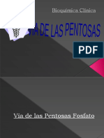 Via de Las Pentosas Sorbitol 1