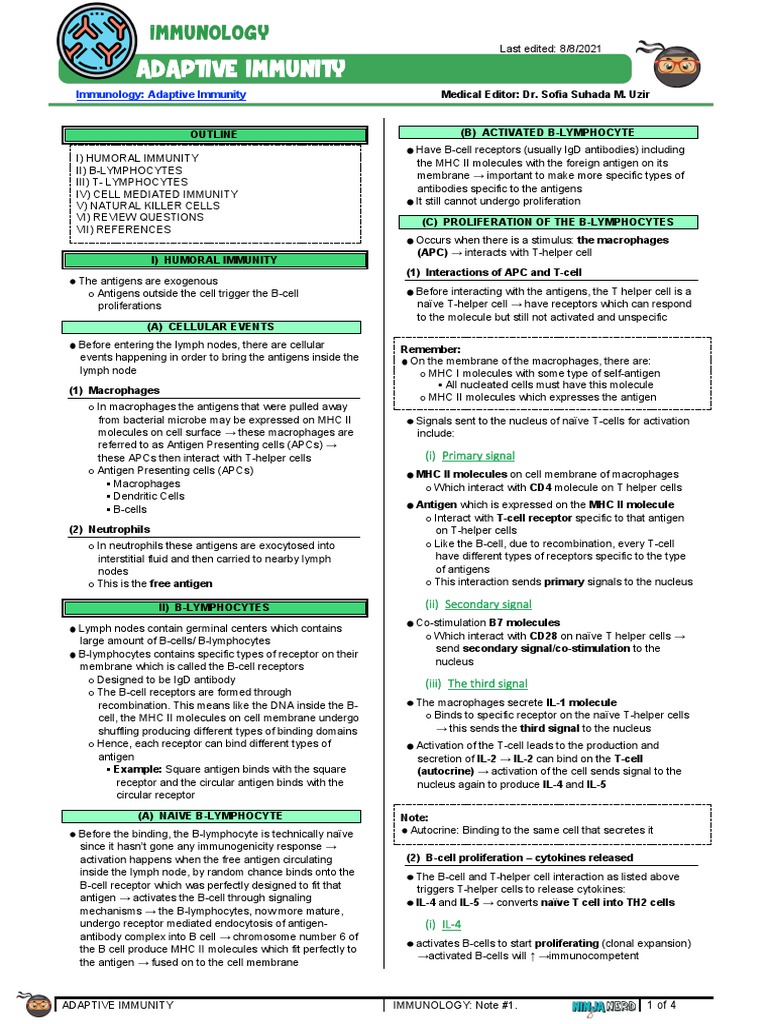 282 - Immunology Physiology) Adaptive Immunity | PDF | T Helper Cell ...