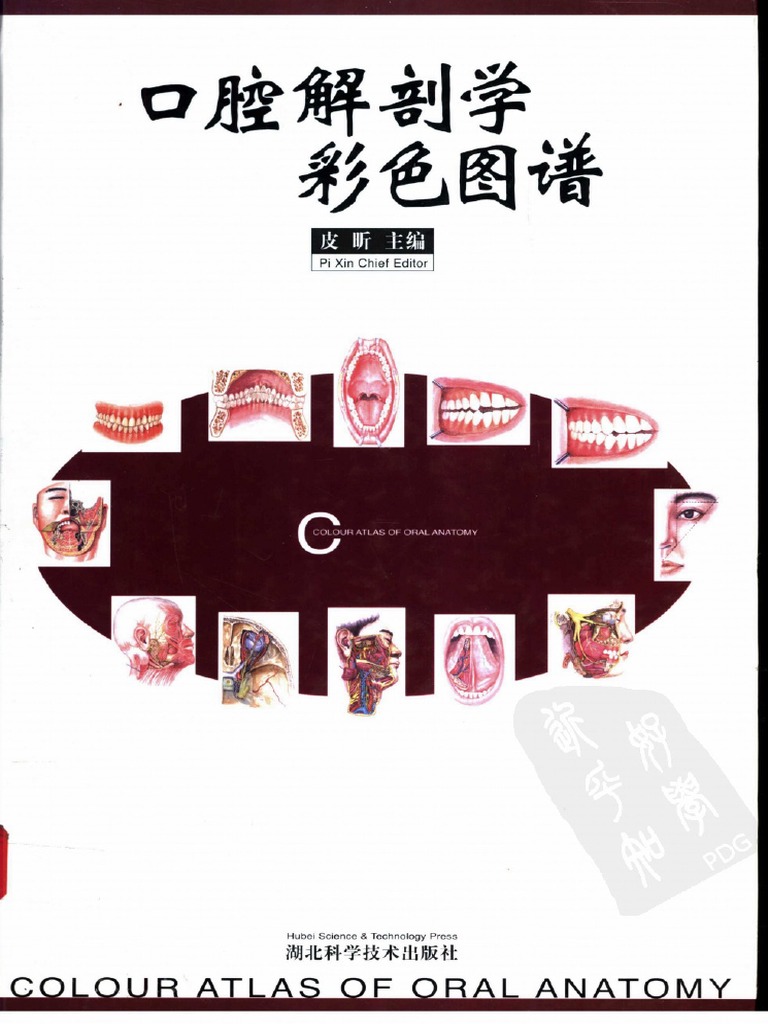 1、口腔解剖学彩色图谱| PDF