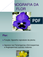 1 Organografia Flor - Androceu