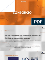 Treinamento Consórcio Segcredi - Completo