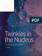 The Scientist - 2019 Twinkles in The Nucleus