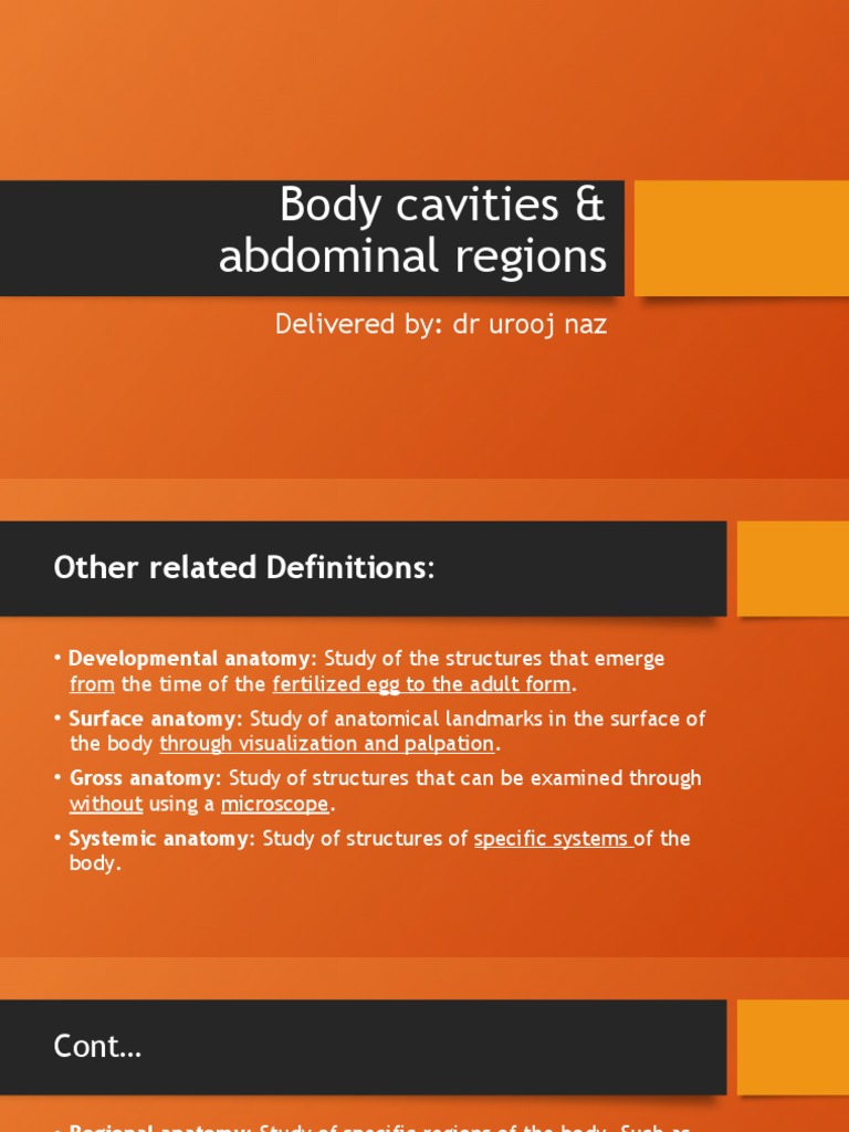 Body Cavities & Abdominal Regions PDF Human Body Zoology