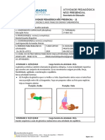 APN 11 1º Anos Educação Física