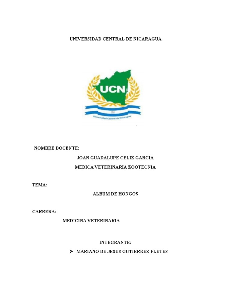 Album De Hongo Pdf Hongo Molde