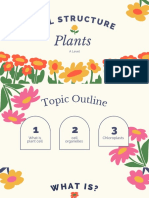 Plant Cell Presentation Pawitchaya