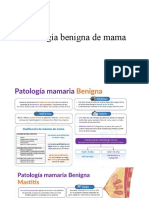 Patología Benigna de Mama