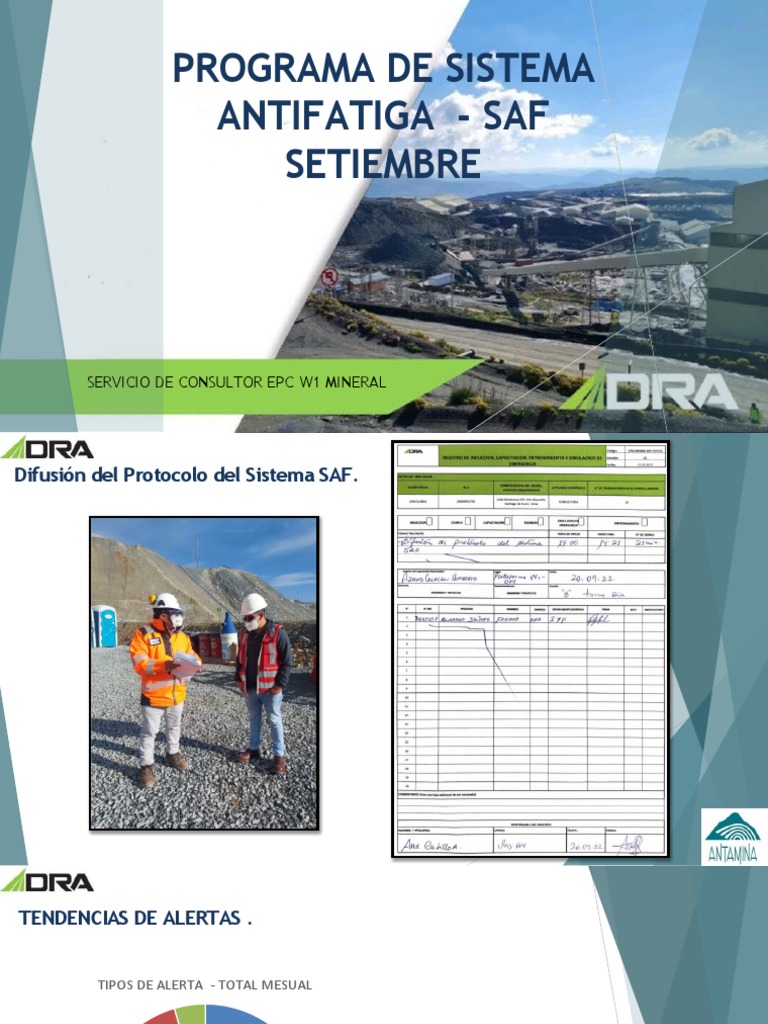 Informe SAF - DRA Américas | PDF