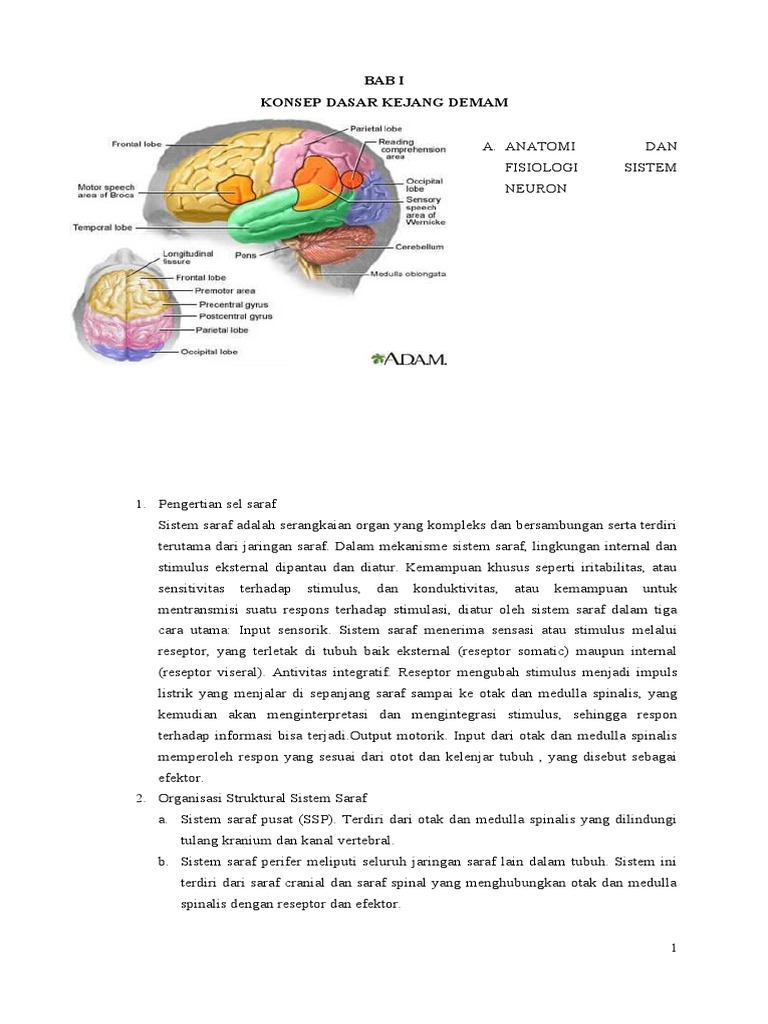 LP KDS Dan Pathway | PDF
