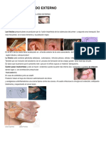 Patologia Del Oído Externo 