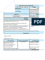 Matriz - Perfil de Puestos