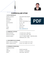 Curriculum Vitae Heidi Janeth Santos Maur