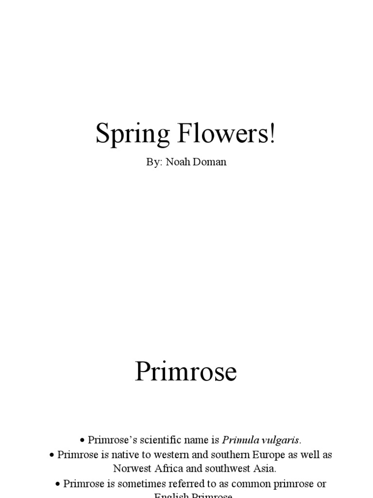 Spring Flowers! | PDF