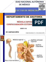 Medula Espinal 1