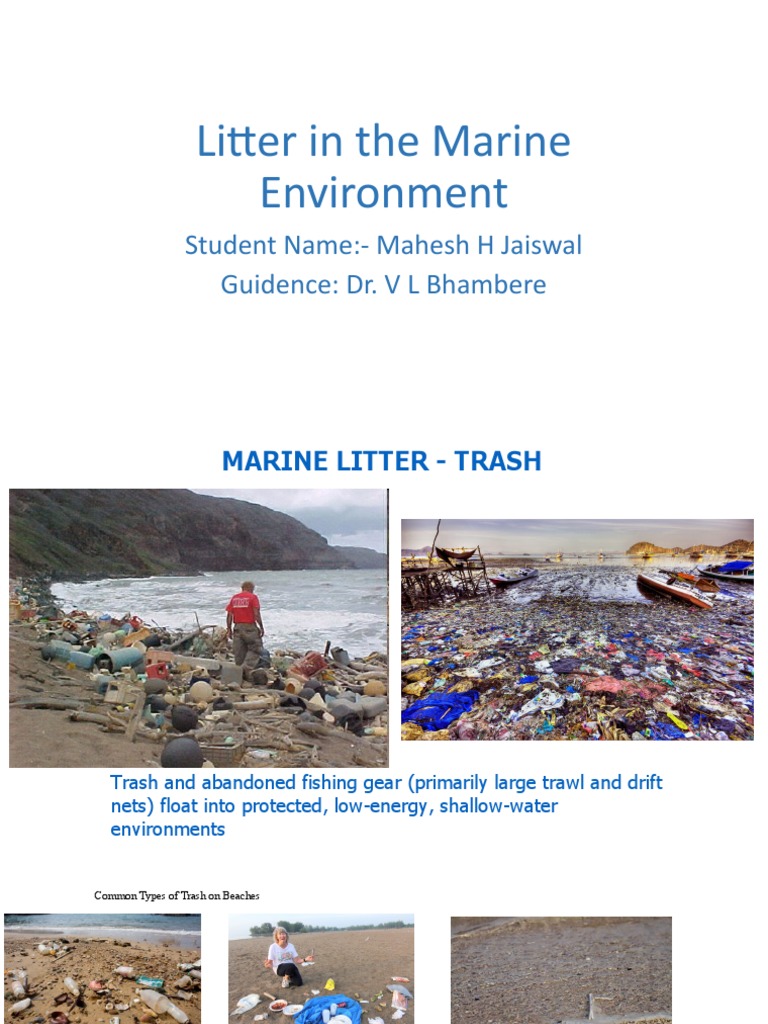 Marine Litter Presentation PDF Plastic Biodegradation