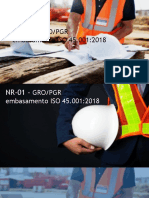 2 NR-01 Gro-Pgr Iso 45001 2018