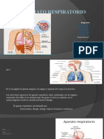 Aparato Respiratorio