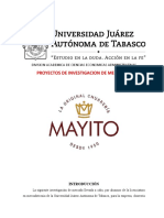 Investigacion de Mercados Chureria Mayito