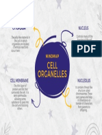 Mindmap On Cell Organelles