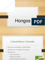 Hongos