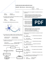 Taller Neurona y SNC