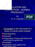 Ovulation and Conception – Normal Pregnancy