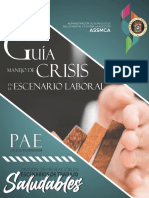 Guía para Intervención en Crisis 