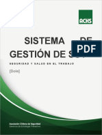 Plantilla Manual SGSST