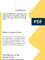 Combustion (CarbonCycle)