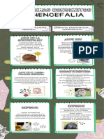 Infografia de Los Problemas Congenitos y Anencefalia