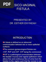 Download VVF Clinical Presentation 1 by api-3705046 SN6587152 doc pdf