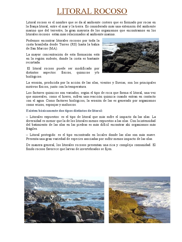 Litoral Rocoso | PDF