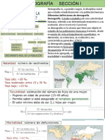 DEMOGRAFÍA SECCIÓN L