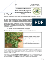 Conseiller en Arboriculture Papayer Aout 2022
