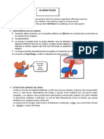 Ficha de Trabajo - El Reino Fungi.-Primero