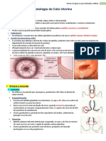 13-Patologias Do Colo Do Útero