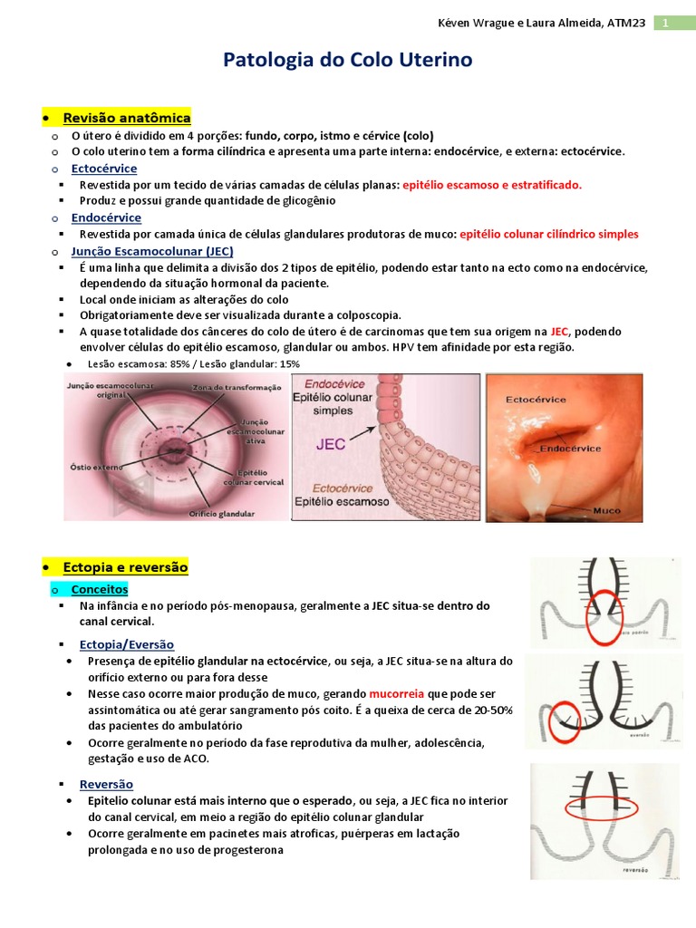 13-Patologias Do Colo Do Útero | PDF | Câncer cervical | Câncer