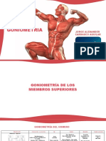 Plantilla Powerpoint Del Sistema Muscular