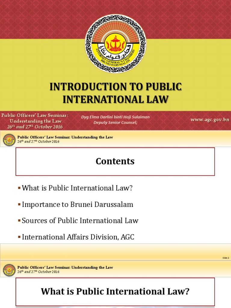 Introduction To Public International Law Pdf