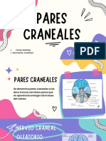 Pares Craneales