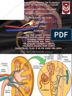 A Diureticos