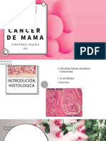 CÁNCER DE MAMA (Autoguardado)